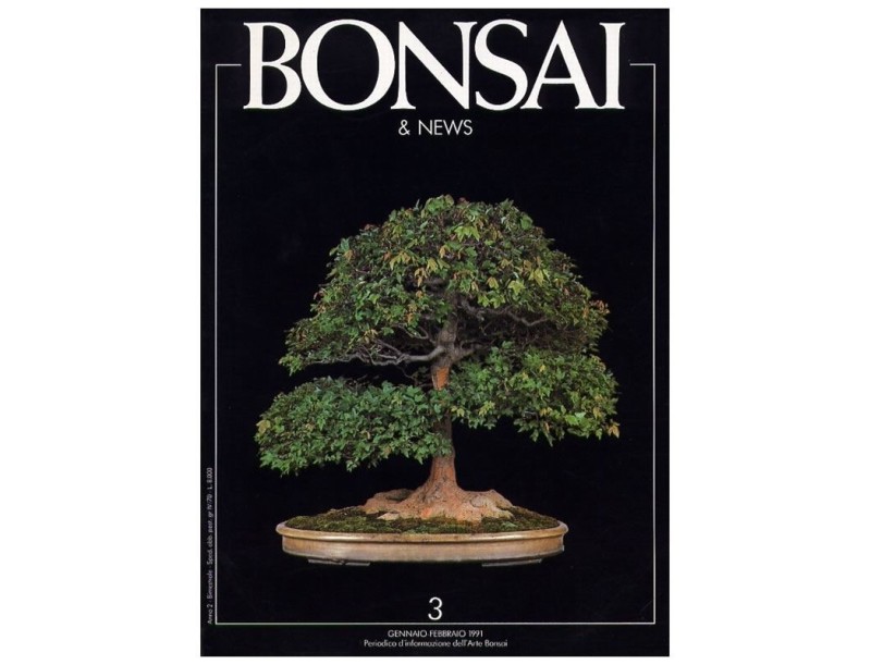 BONSAI & news n.   3 - Gennaio-Febbraio 1991