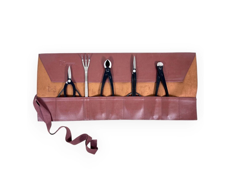 Ryuga tool set gift idea