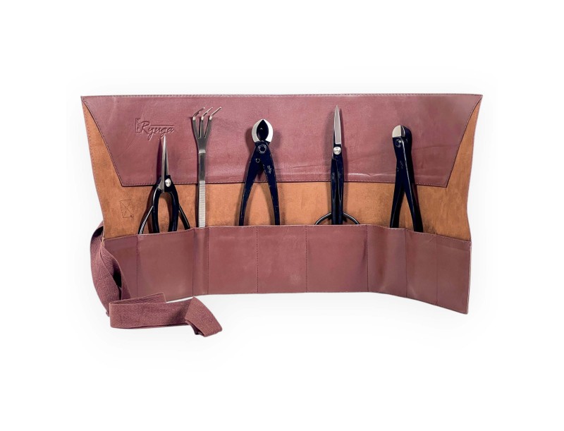 Ryuga tool set gift idea