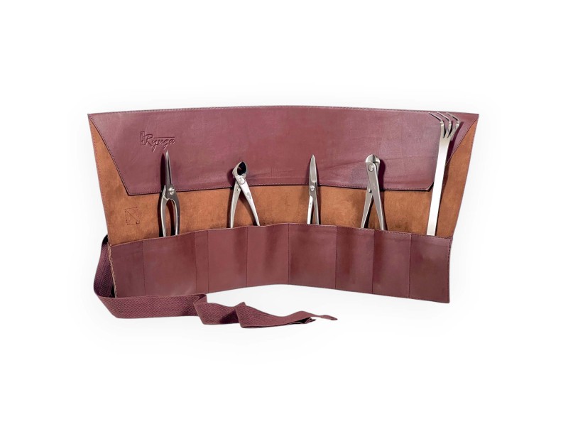 Set 5 attrezzi acciaio Ryuga