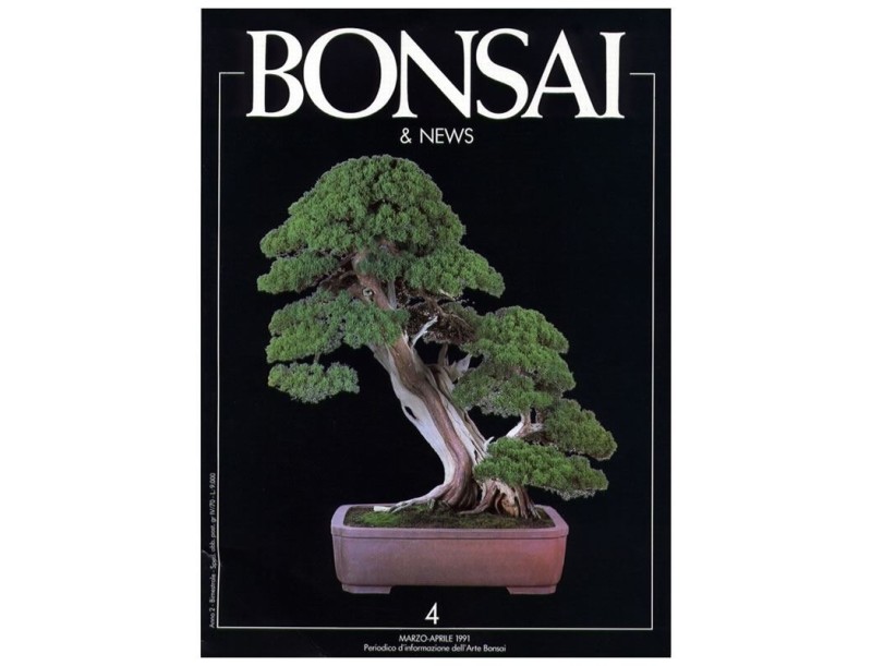 BONSAI & news n.   4 - Marzo-Aprile 1991