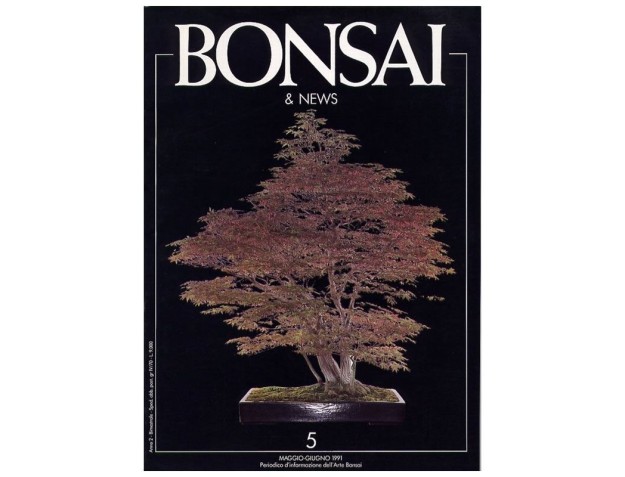 BONSAI & news n.   5 - Maggio-Giugno 1991