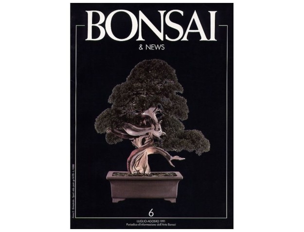 BONSAI & news n.   6 - Luglio-Agosto 1991