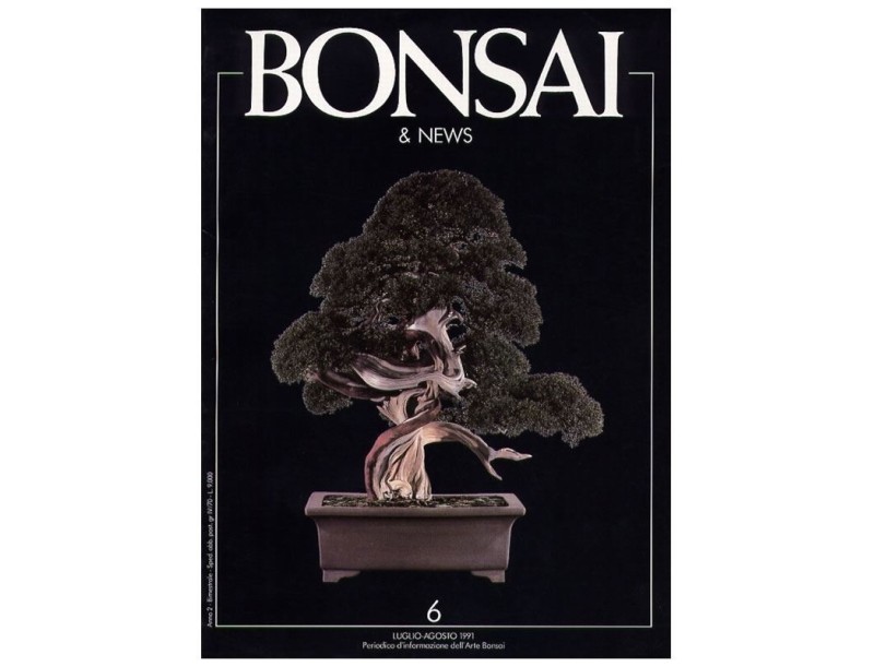 BONSAI & news n.   6 - Luglio-Agosto 1991