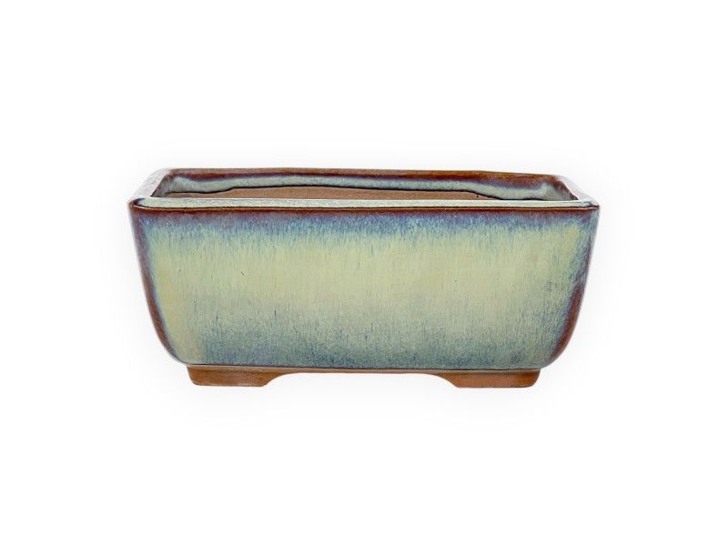 Maceta rectangular de gres esmaltado para Bonsái japonés - 12 cm
