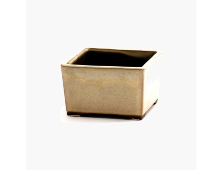Square glazed stoneware Japanese Bonsai pot - 10 cm