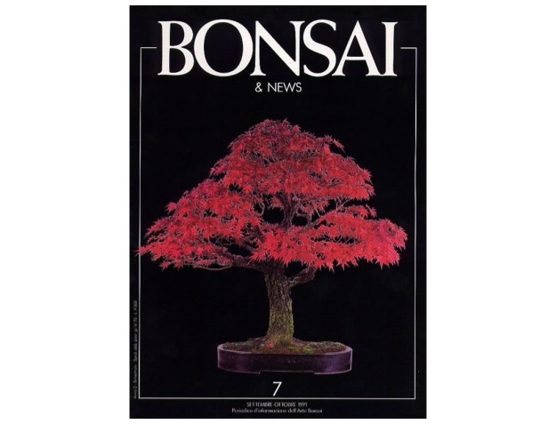 BONSAI & news n.   7 - Settembre-Ottobre 1991