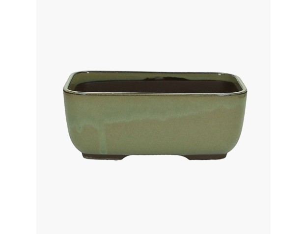 Maceta rectangular gres esmaltado para Bonsái japonés - 21,5 cm