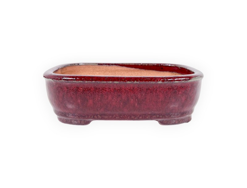 Maceta rectangular de gres esmaltado para Bonsái chinese - 16 cm