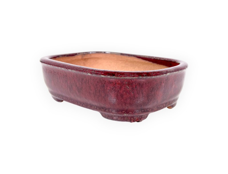Maceta rectangular de gres esmaltado para Bonsái chinese - 16 cm