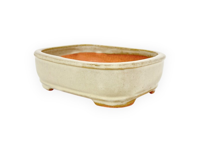 Rectangular glazed stoneware Chinese Bonsai pot - 16 cm