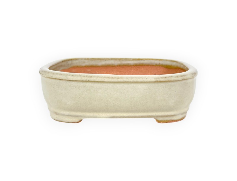Maceta rectangular de gres esmaltado para Bonsái chinese - 16 cm