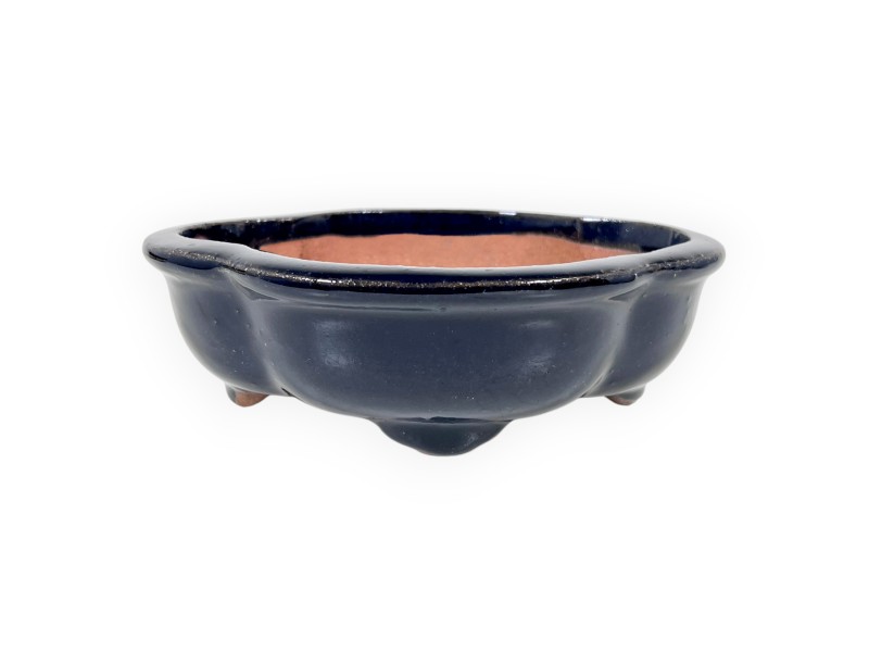Vaso Bonsai Cinese Nuvola in Grès Smaltato - 16 cm