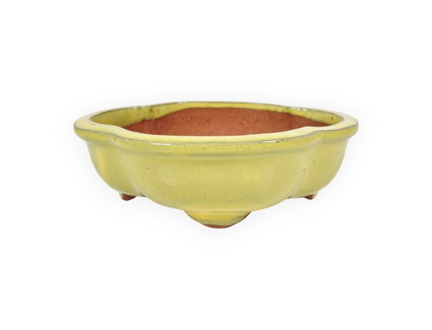 Cloud glazed stoneware Chinese Bonsai pot - 16 cm