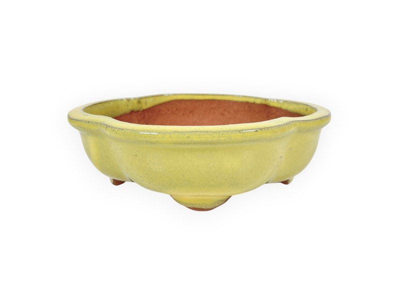Cloud glazed stoneware Chinese Bonsai pot - 16 cm