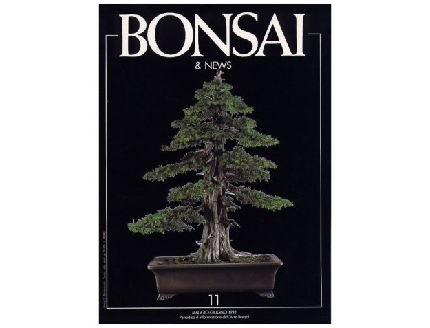 BONSAI & news n.  11 - Maggio-Giugno 1992