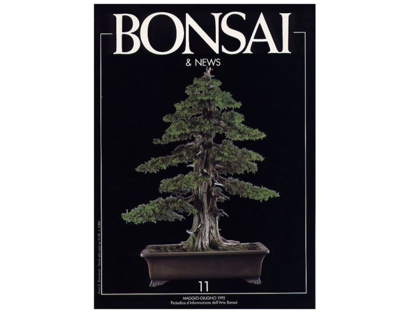 BONSAI & news n.  11 - Maggio-Giugno 1992