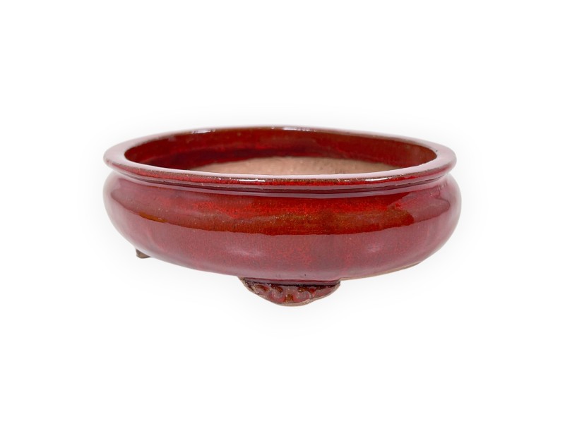Vaso Bonsai Cinese Ovale in Grès Smaltato - 15,5 cm