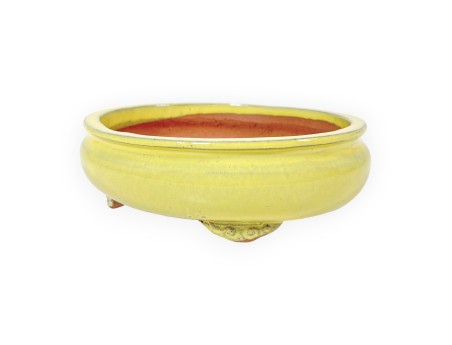 Maceta oval de gres esmaltado para Bonsái chinese - 15,5 cm