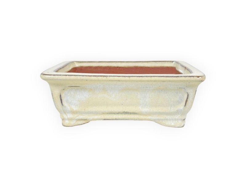 Maceta rectangular de gres esmaltado para Bonsái chinese - 16 cm