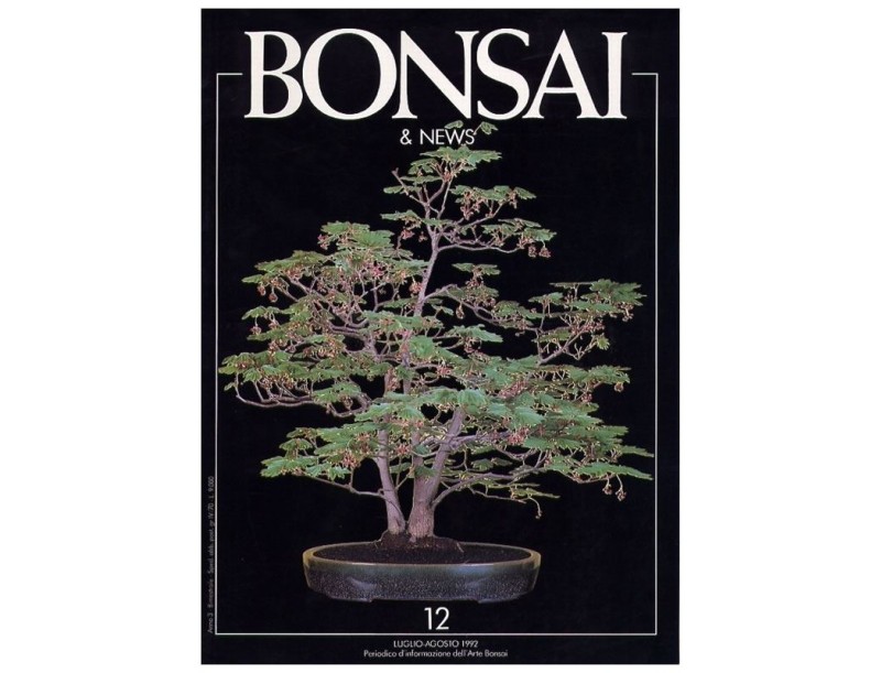 BONSAI & news n.  12 - Luglio-Agosto 1992