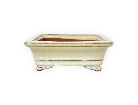 Maceta rectangular de gres esmaltado para Bonsái chinese - 16 cm