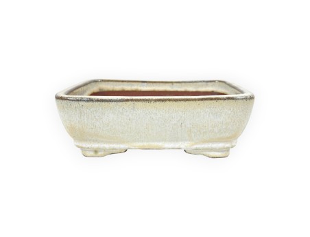 Maceta rectangular de gres esmaltado para Bonsái chinese - 16 cm