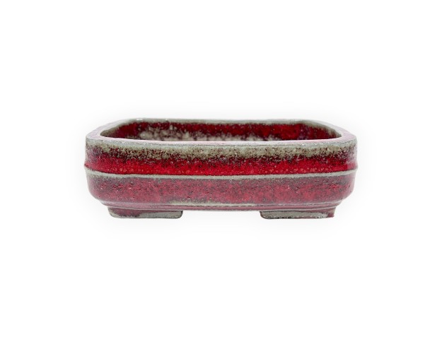 Maceta rectangular de gres esmaltado para Bonsái chinese - 15,5 cm