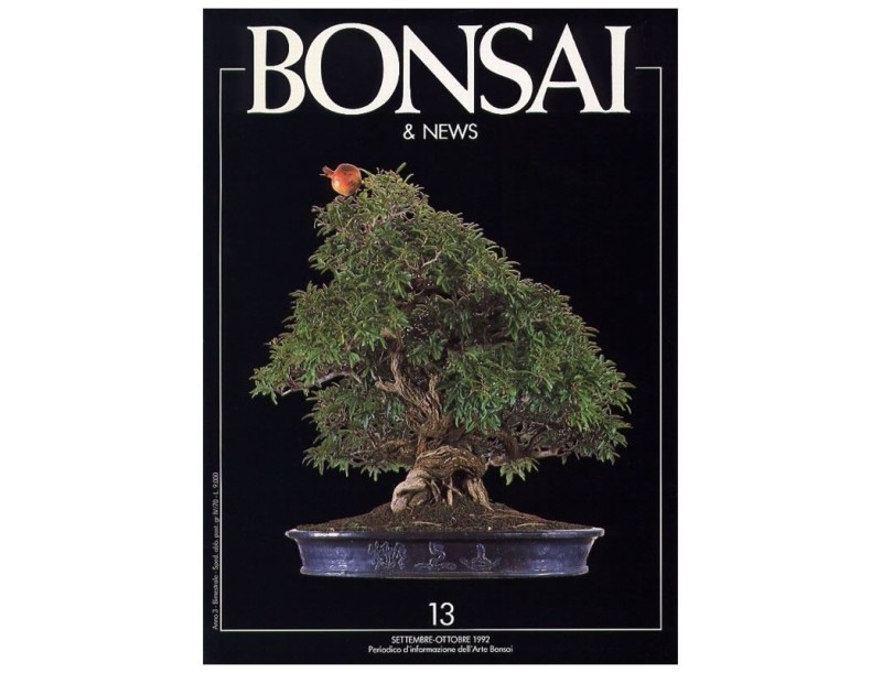 BONSAI & news n.  13 - Settembre-Ottobre 1992