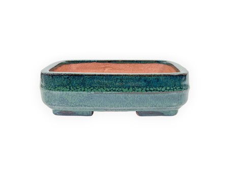 Rectangular glazed stoneware Chinese Bonsai pot - 15,5 cm