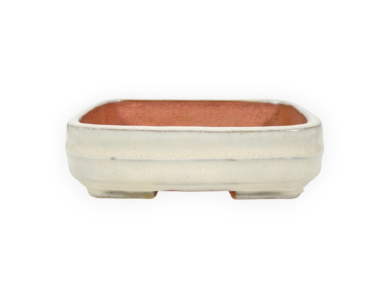 Maceta rectangular de gres esmaltado para Bonsái chinese - 15,5 cm