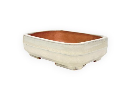 Rectangular glazed stoneware Chinese Bonsai pot - 15,5 cm