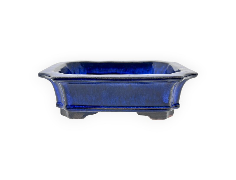 Maceta rectangular de gres esmaltado para Bonsái chinese - 16 cm