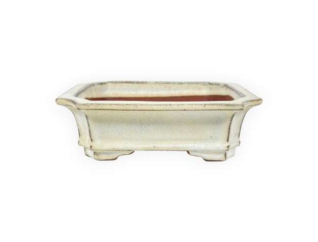 Maceta rectangular de gres esmaltado para Bonsái chinese - 16 cm