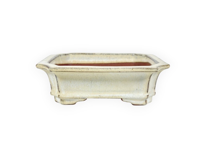 Maceta rectangular de gres esmaltado para Bonsái chinese - 16 cm