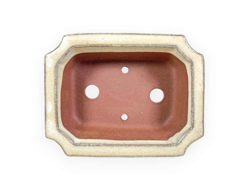 Maceta rectangular de gres esmaltado para Bonsái chinese - 16 cm