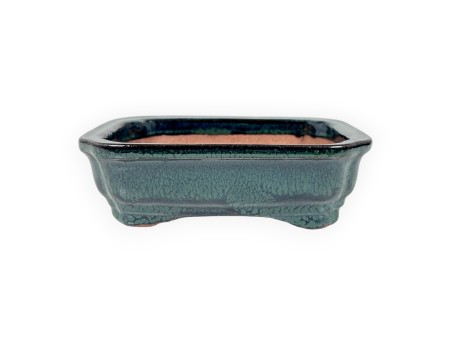 Maceta rectangular de gres esmaltado para Bonsái chinese - 16 cm