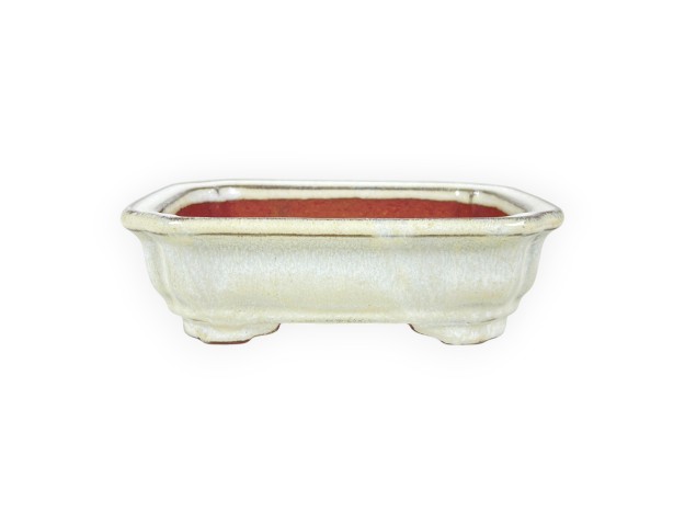 Maceta rectangular de gres esmaltado para Bonsái chinese - 16 cm