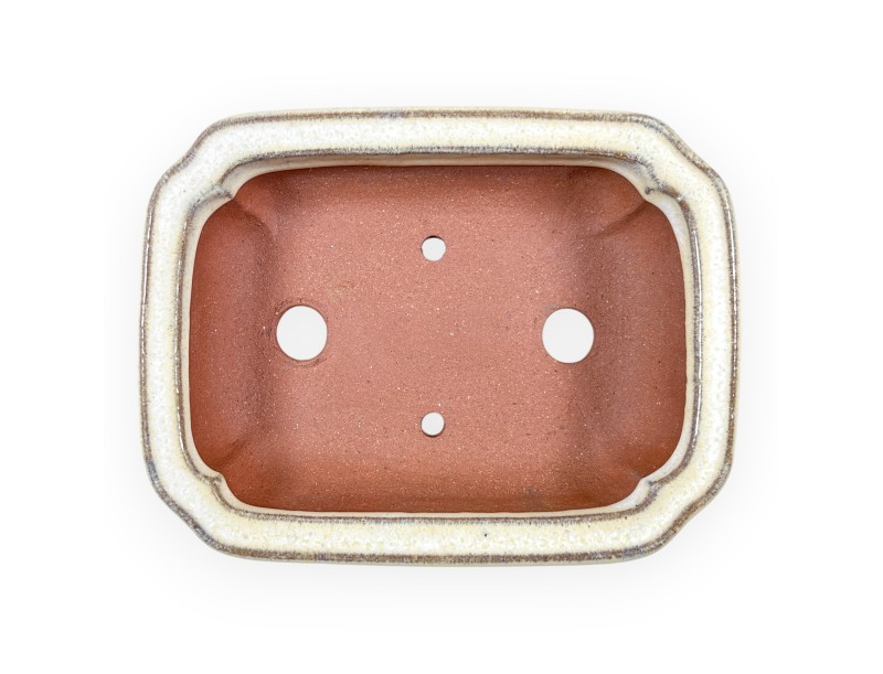 Maceta rectangular de gres esmaltado para Bonsái chinese - 16 cm