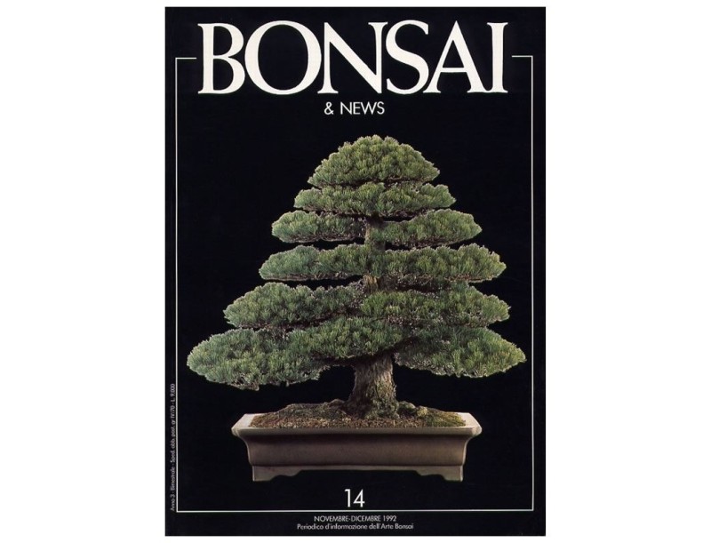 BONSAI & news n.  14 - Novembre-Dicembre 1992