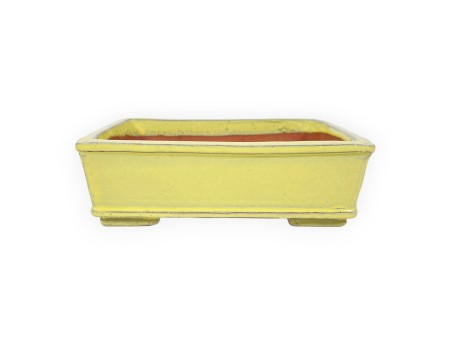 Maceta rectangular de gres esmaltado para Bonsái chinese - 18 cm