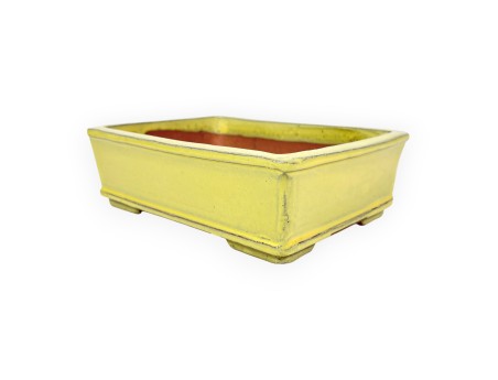 Pot rectangulaire en grès émaillé pour bonsaïs chinois - 18 cm
