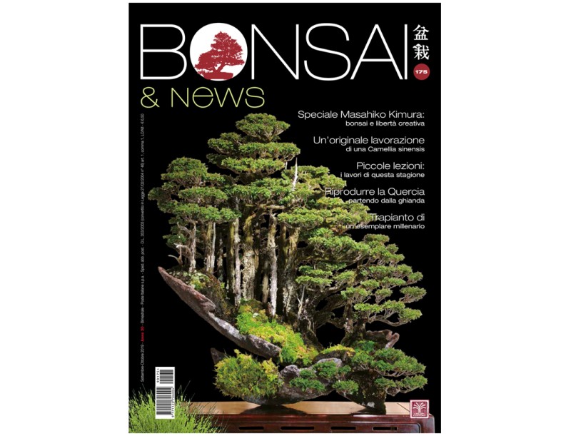 BONSAI & news 175 - September-October 2019