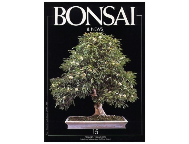 BONSAI & news n.  15 - Gennaio-Febbraio 1993