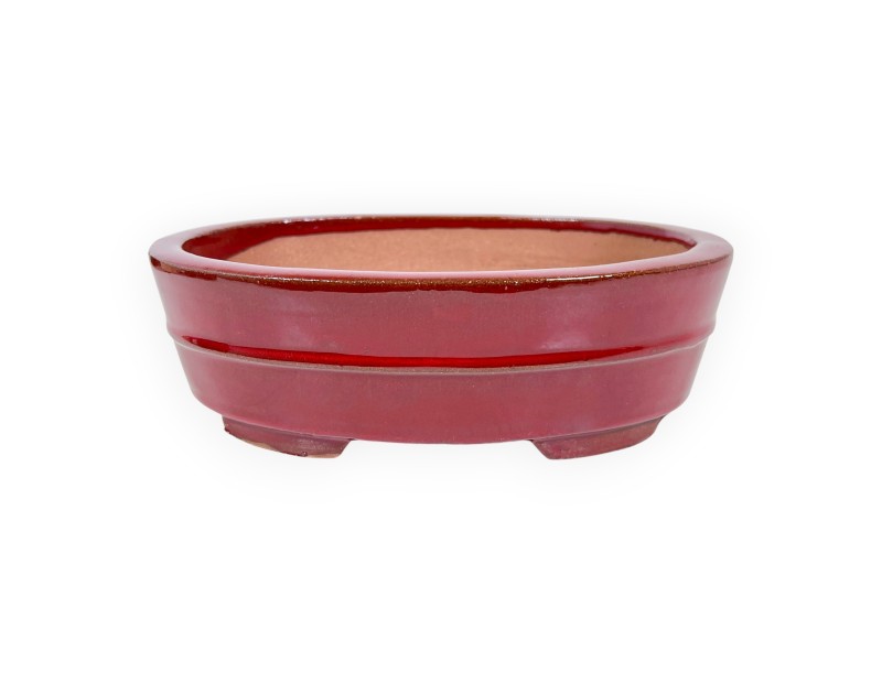 Maceta oval de gres esmaltado para Bonsái chinese - 21,5 cm