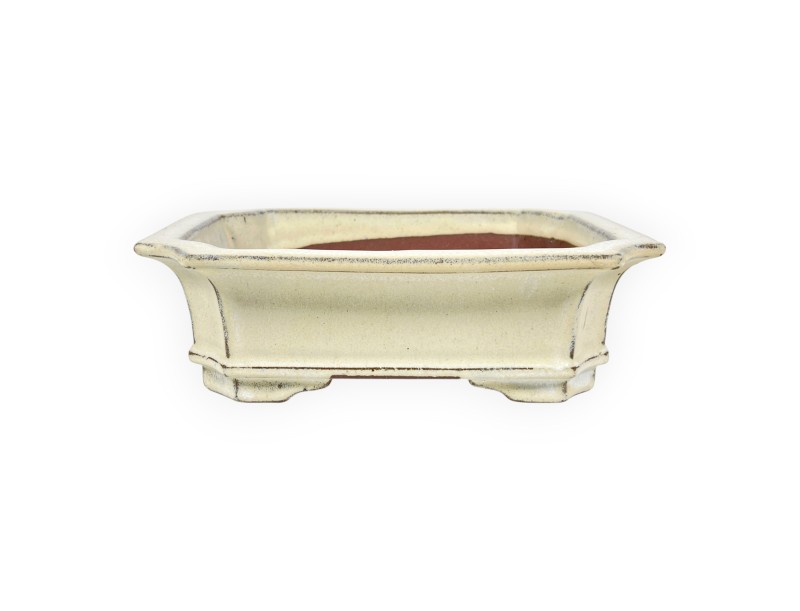 Pot rectangulaire en grès émaillé pour bonsaïs chinois - 21,5 cm