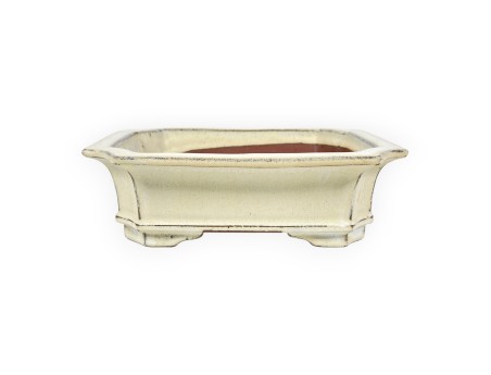Rectangular glazed stoneware Chinese Bonsai pot - 21,5 cm