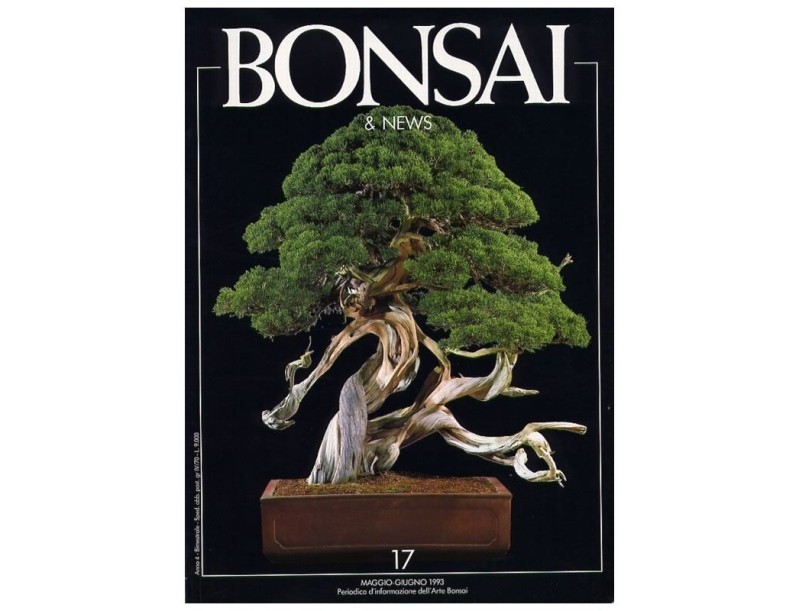 BONSAI & news n.  17 - Maggio-Giugno 1993