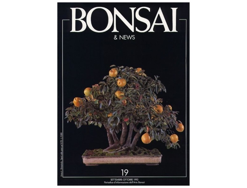 BONSAI & news n.  19 - Settembre-Ottobre 1993