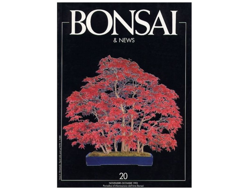 BONSAI & news n.  20 - Novembre-Dicembre 1993